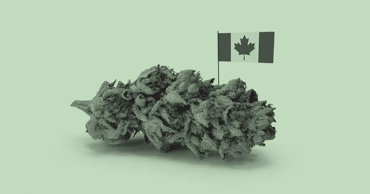 High Tide Is Ramping Up Retail Cannabis Revenue in Canada